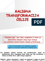 Maligna Transformacija Ćelije