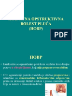 Hronična Opstruktivna Bolest Pluća (Hobp) - 1