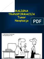 Neoplasia MG Vs Bg2010