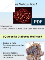 04 Disert Diabetes Mellitus Tipo I 25626