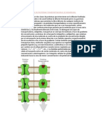 DIFERENTES TIPOS DE PROTEÍNAS TRANSPORTADORAS DE MEMBRANA
