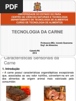 Aula 3 - Sensorial Da Carne Final