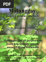 Download Malunggay Makes a Golden Comeback - EditedA by jayroldparcede SN20684777 doc pdf