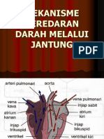 Peredaran Darah Melalui Jantung