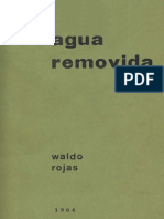 Waldo Rojas - Agua Removida