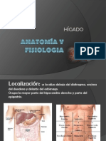 Anatomía y Fisiología del Hígado
