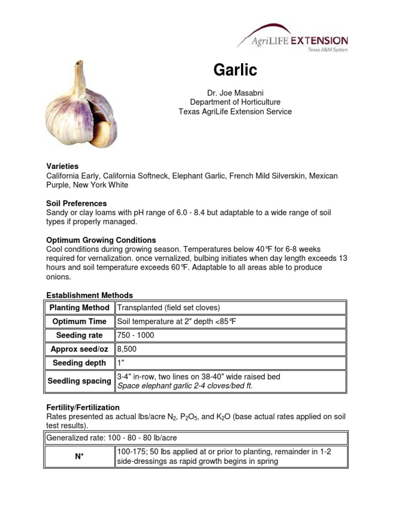 Garlic (2) Garlic Soil