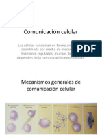 Comunicación celular