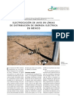 Electrocución de Aves en Líneas-México