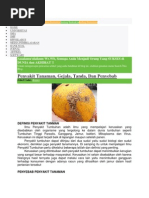 Download Pengertian Hama by Tyas Iyas SN206921957 doc pdf