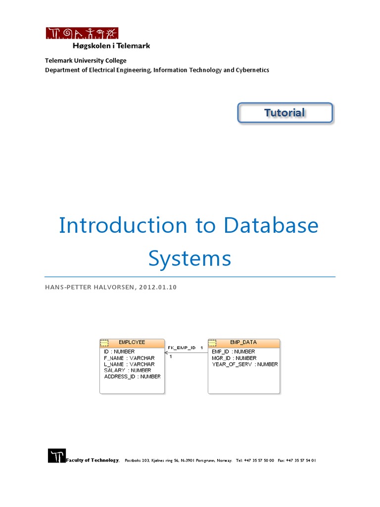 Introduction To Database Systems | PDF