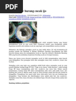 Download Menangkar Burung Cucakn by andikartika SN206926075 doc pdf