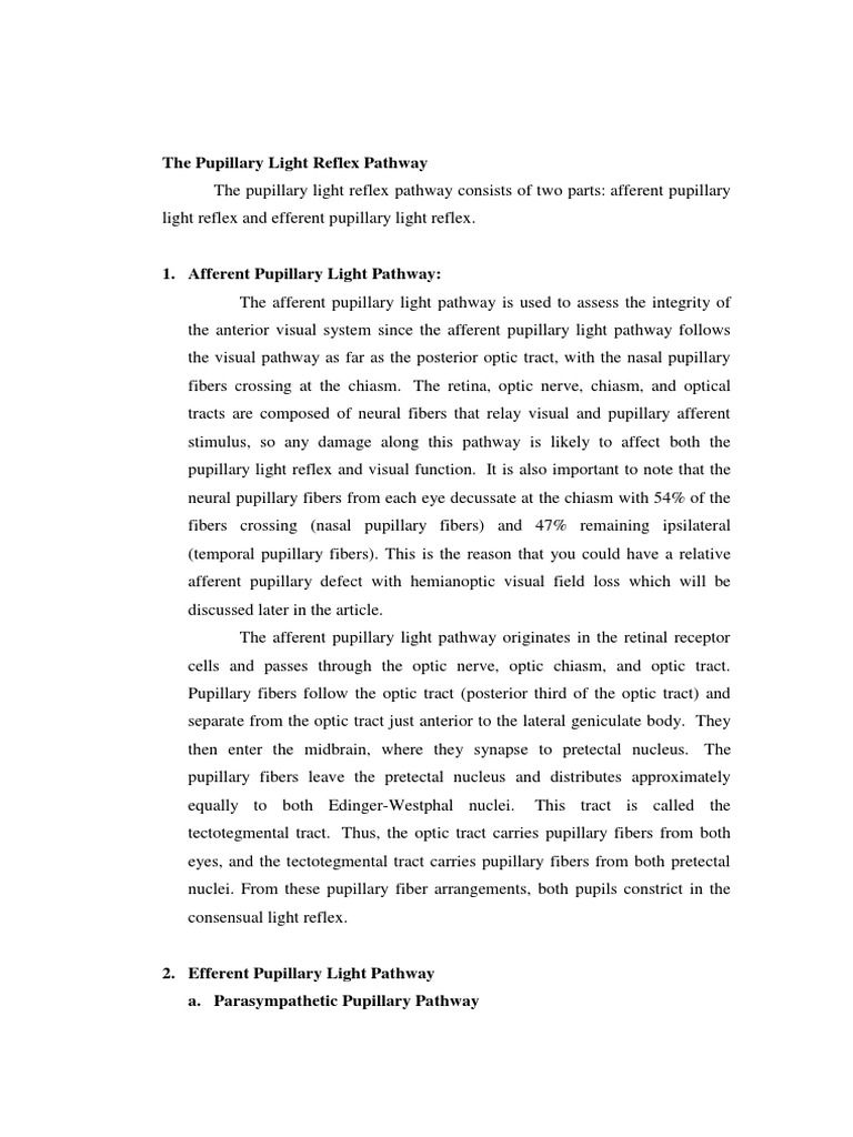 Pupillary Light Reflex Pathway Explained | PDF | Visual System | Senses