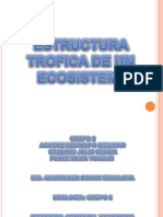 Estructura Trofica de Los Ecosistemas