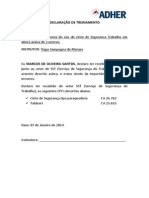 Declaração de Treinamento