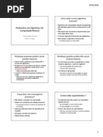 Computação Natural - Aula 09 - Parâmetros em Algoritmos de Computação Natural.pdf