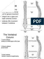 Spine Lecture