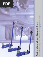 Gatos Elevadores Neumaticos Ryme