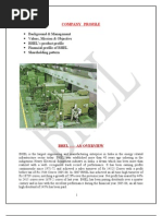 Download summer training on training  development in BHEL by jitendra maheshwari SN20700483 doc pdf