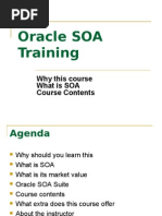 Download Oracle BPEL ESB Training by SOA Training SN20702911 doc pdf