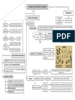 Mapa Conceptual Classicisme