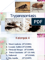 Trypanosomiasis Kelompok 4