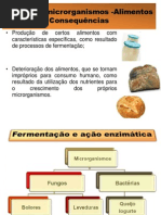 Interação microrganismos -Alimentos