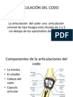 Articulación Del Codo