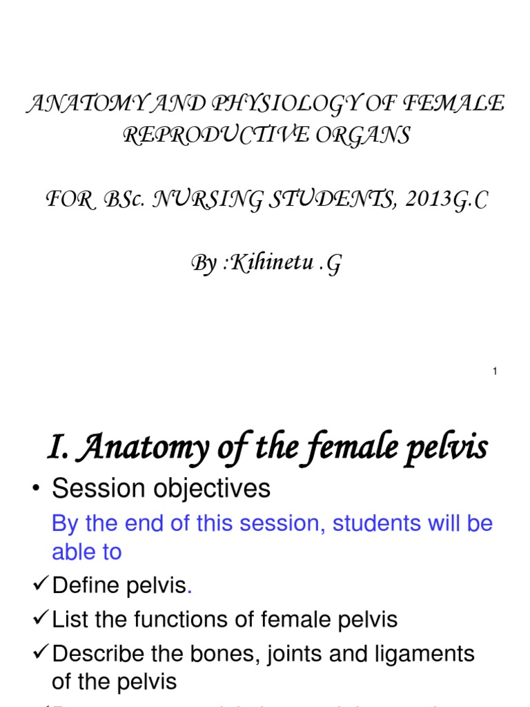 Anatomy of The Female Pelvis Final | PDF | Pelvis | Menstrual Cycle