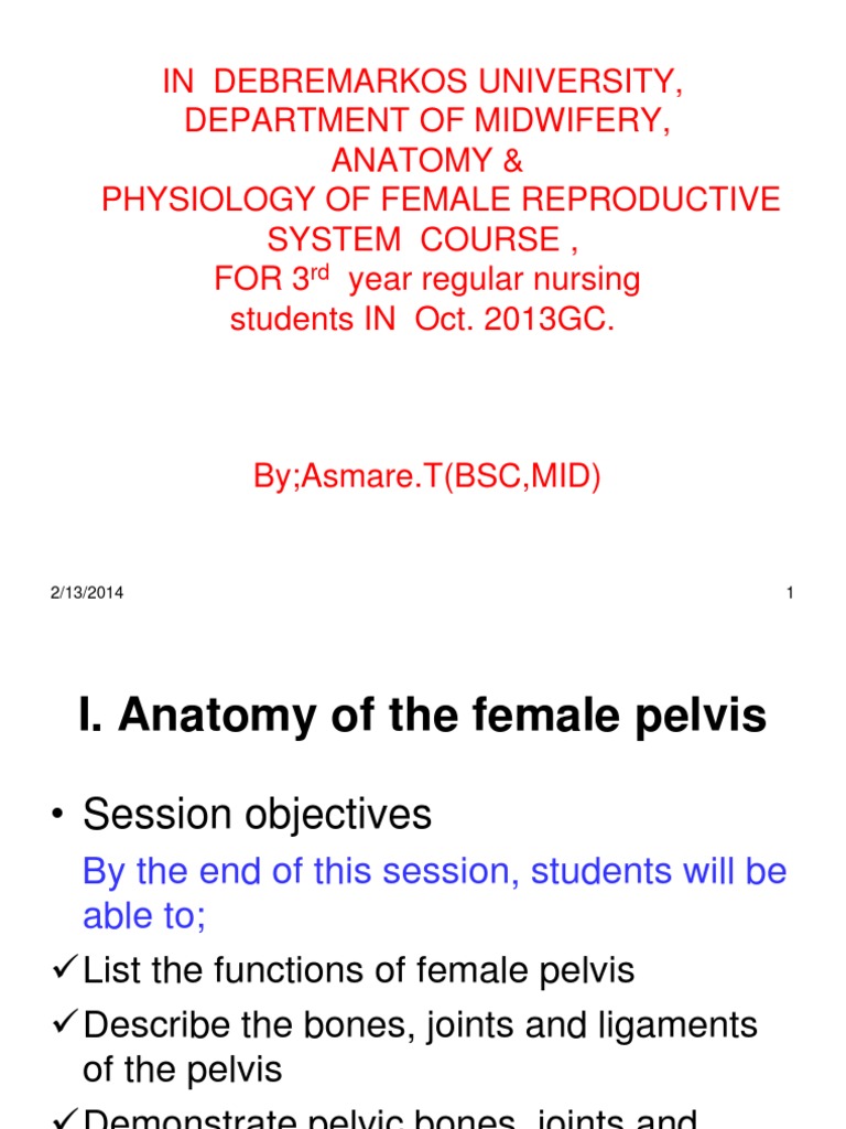 Worku Antomy and Physiology of Reproductive Organ - Copy | Menstrual