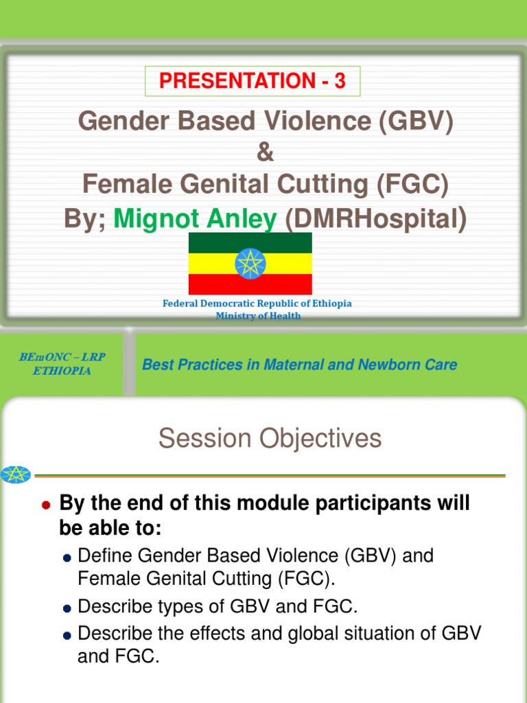 P - 3 - Gender Based Violence (GBV) - 2013 | PDF | Female Genital ...