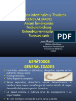 11 Nematodos 1_2013c