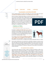 Caracteristicas del caballo_ cualidades físicas y temperamentales.pdf
