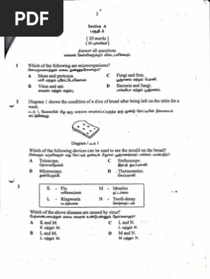 Upsr Past Year Question Sjkt