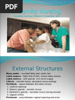 Download Maternity Nursing by Quolette Constante SN20712407 doc pdf