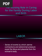 Download The Nursing Role in Labor by Quolette Constante SN20712491 doc pdf