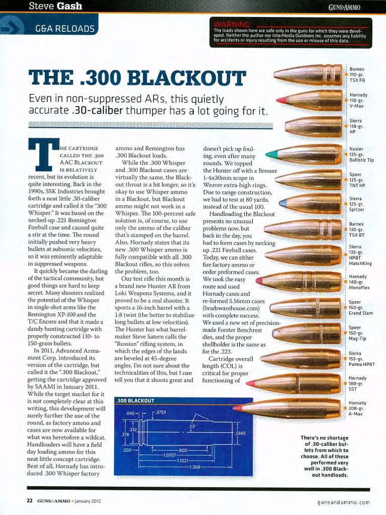 300 Blackout Cartridge (Firearms) Ammunition