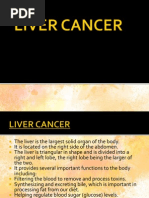 Liver Cancer Ppt