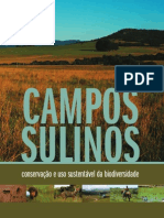 Campos Sulinos