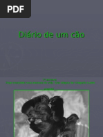 Diário de um cão