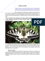 Animale Si Plante Fluturi Si Molii Www Cartipdf Wordpress Com