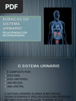 DOENÇAS DO SISTEMA URINÁRIO 1
