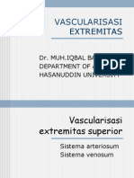 VASCULARISASI EXTREMITAS Review