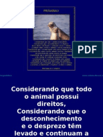 Direitos Dos Animais