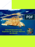 Una Introducción a las Especies de Tortugas Marinas del Mundo