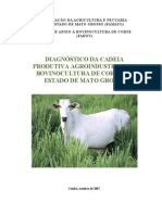 Bovinocultura no MT.pdf