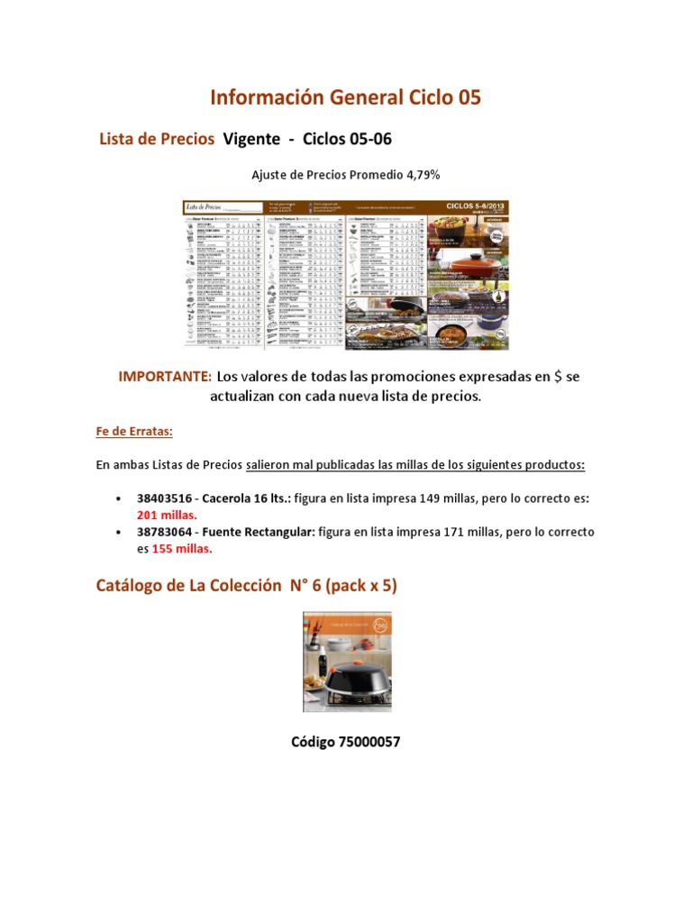 Plan Comercial Ciclo 5  Producto (Negocio)  Microeconomía