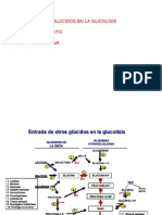 destinos piruvato  formacion acetil coa