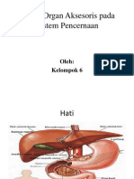 Organ-Organ Aksesoris Pada Sistem Pencernaan