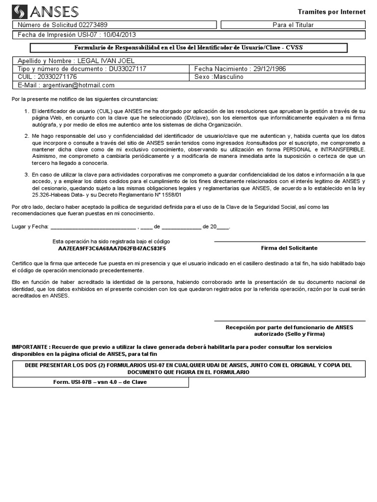 Formulario USI-07 para ANSES | PDF | Internet | Informática